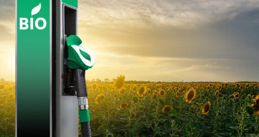 Biofuel station beside sunflower field